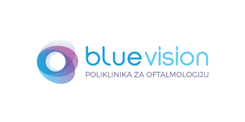Blue vision logo.jpg